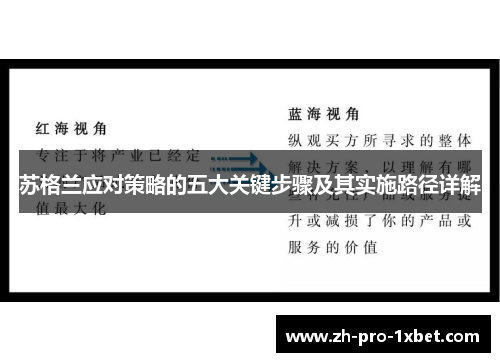 苏格兰应对策略的五大关键步骤及其实施路径详解