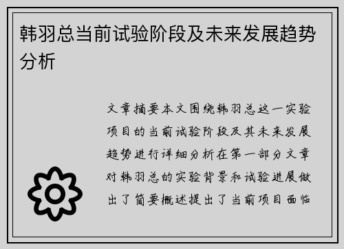 韩羽总当前试验阶段及未来发展趋势分析